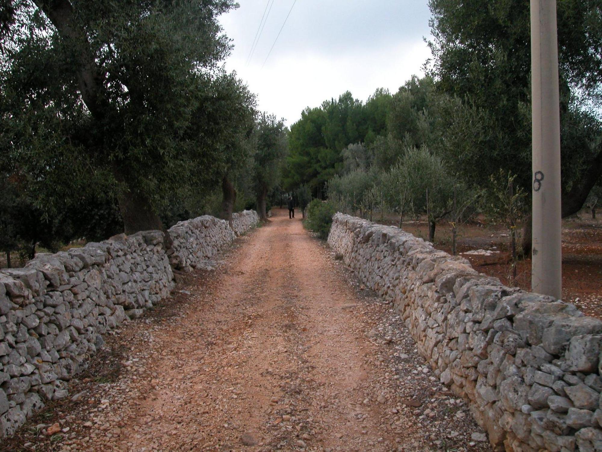 Masseria Trotta B&B Fasano Exterior photo